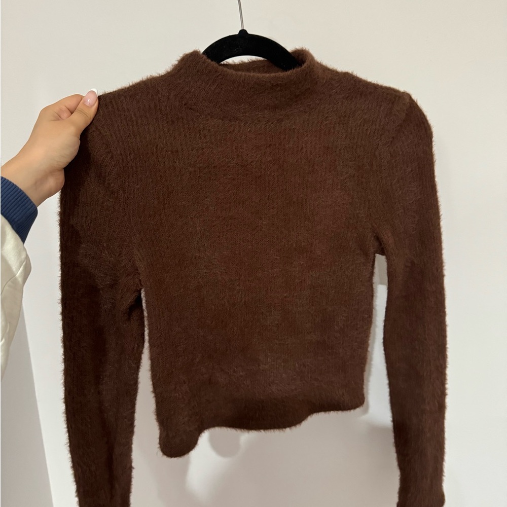 Fuzzy brown Zara long sleeve top